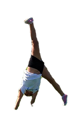 cartwheel_edited.png