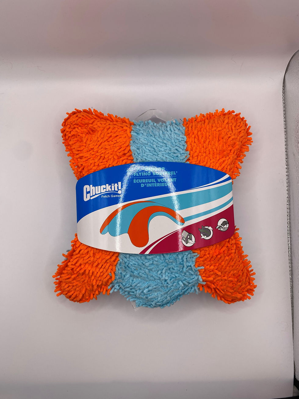 Thumbnail: Indoor Flying activity Chuckit