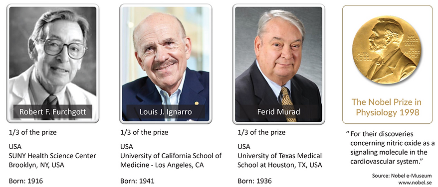 nobel prize winners.png