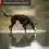 Miniatura: rock arnés long non-stop dogwear