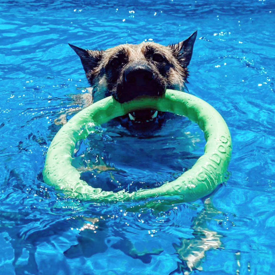 ARO PULLER Y PITCHDOG