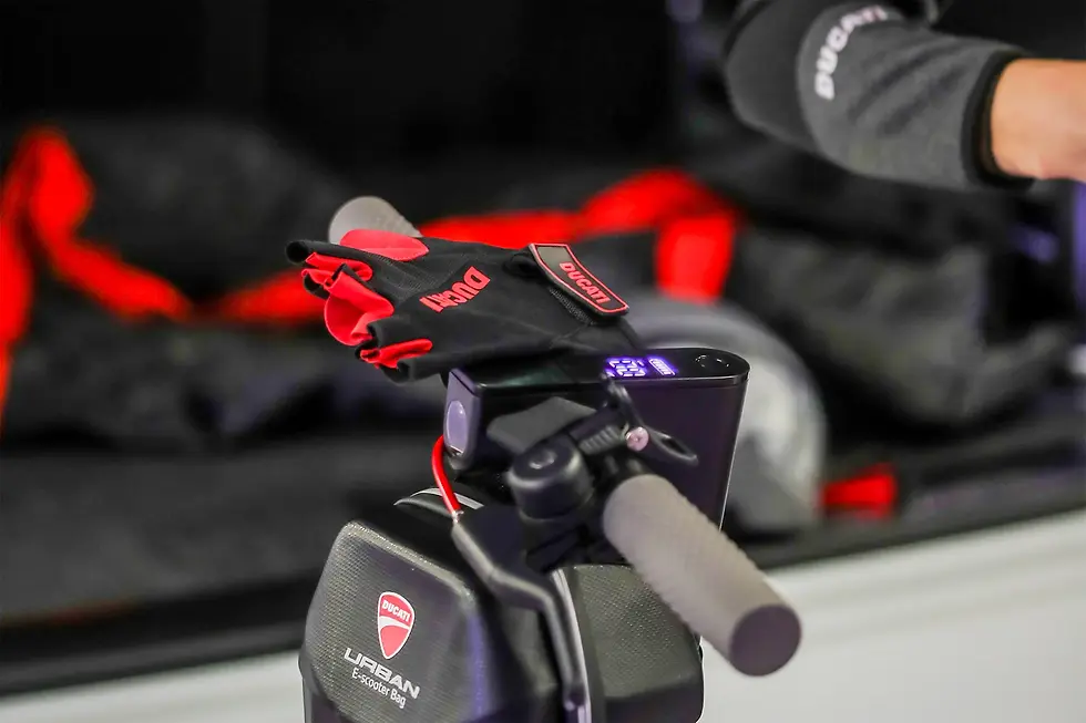 Miniatura: Ducati Guanti corti