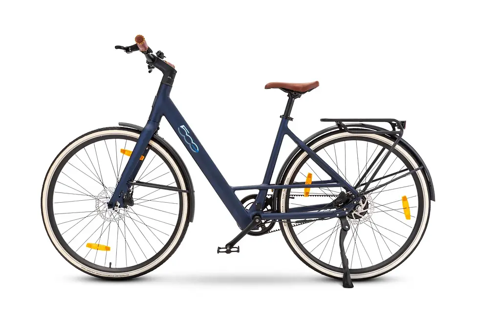 Miniatura: 500 e-bike