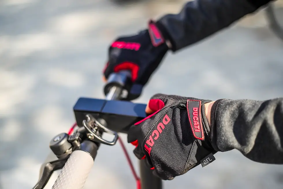 Miniatura: Ducati Guanti corti