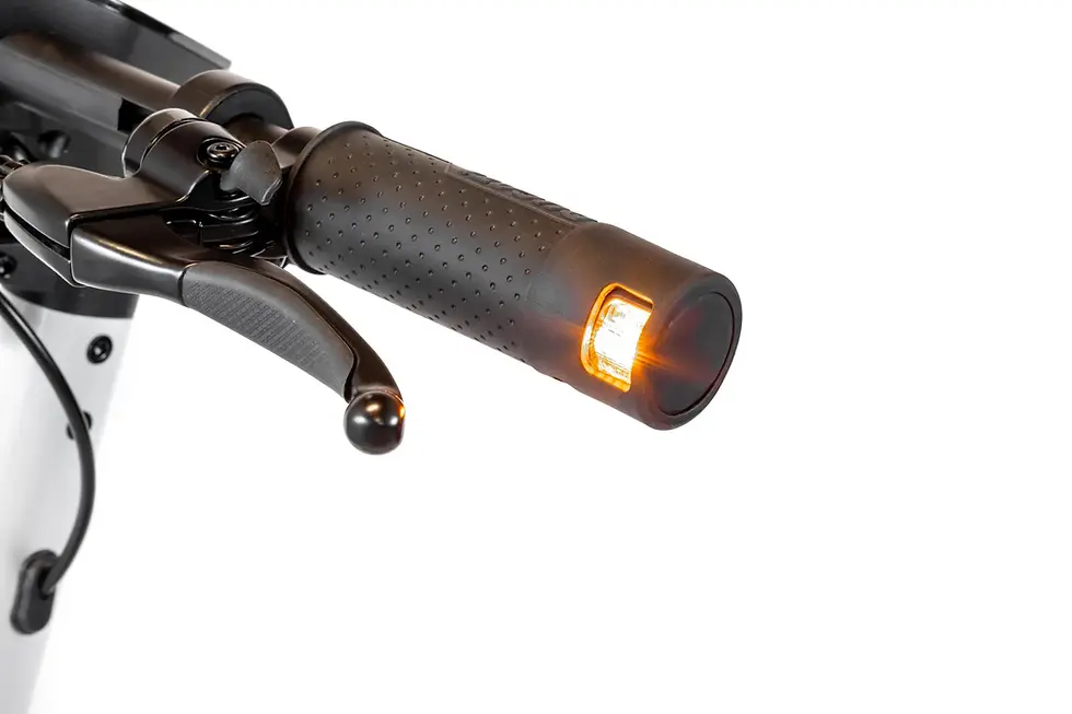 Thumbnail: Ducati Pro-III