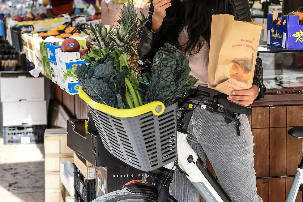 Miniatura: Urban Prime Cestino per bici