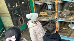Sortie à la ferme pour les CP/CE1