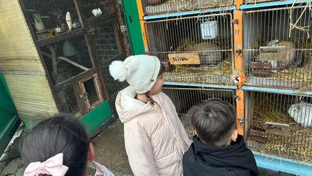 Sortie à la ferme pour les CP/CE1
