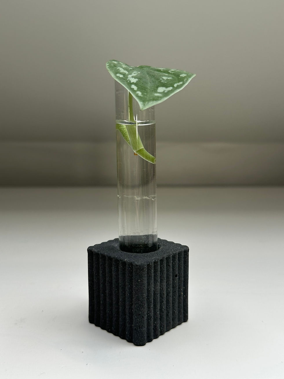 Miniaturbild: S eckig gestreift