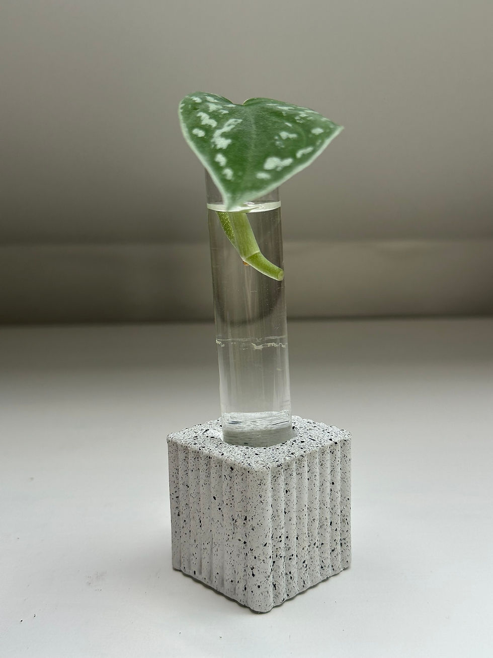 Miniaturbild: S eckig gestreift