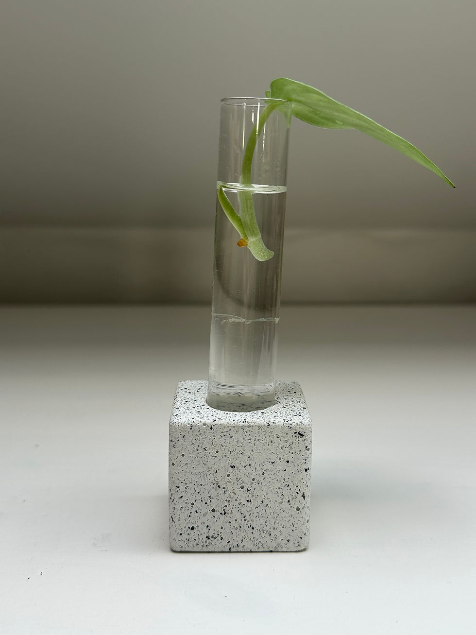 Miniaturbild: S eckig glatt