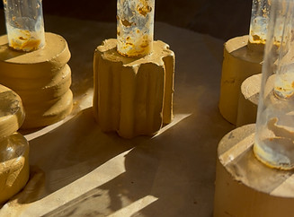 First designs of the propagation pots