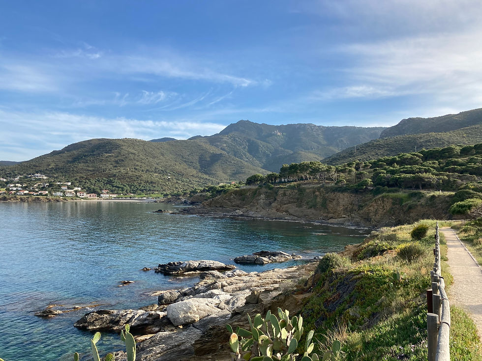 IMG_0442