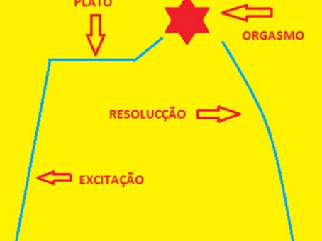 Fases biológicas de la respuesta sexual humana