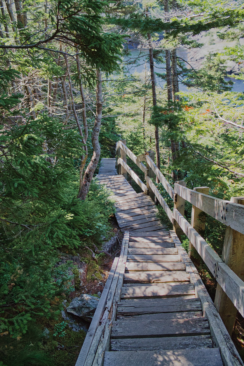 La Manche Village Path, East Coast Trail