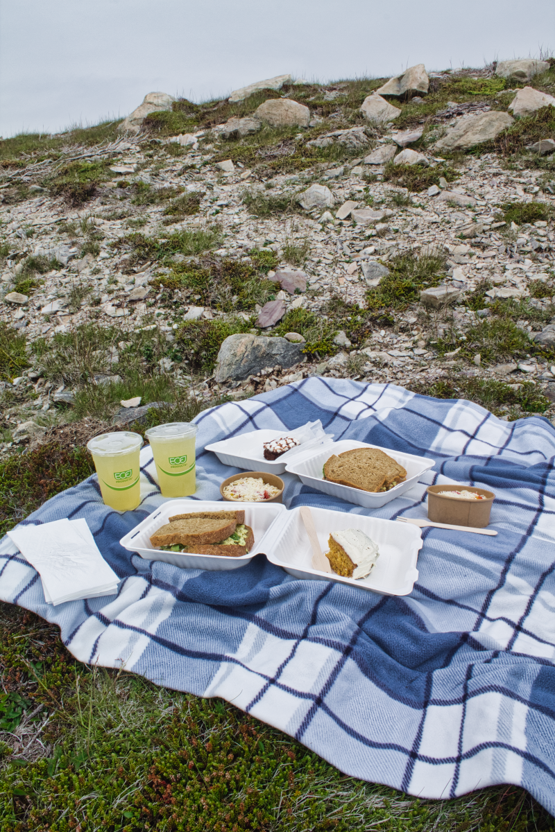 Lighthouse Picnics at Ferryland, Newfoundland and Labrador, Canada