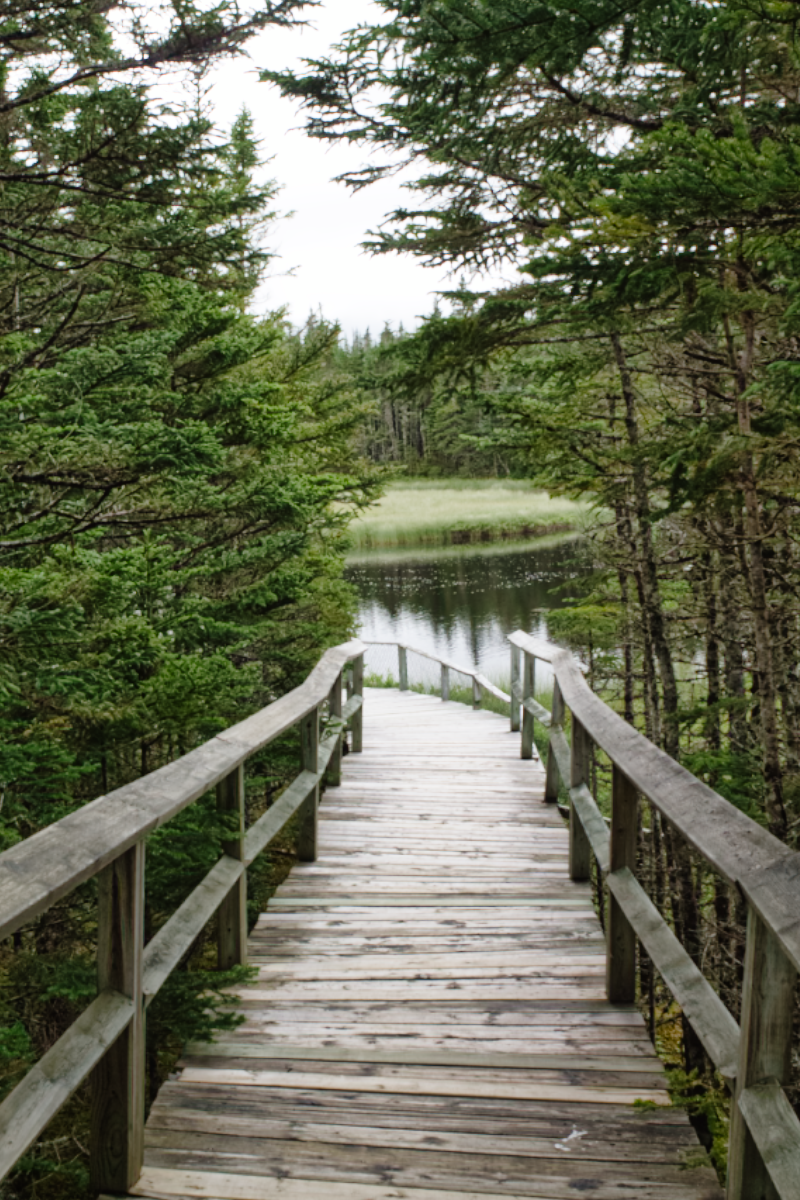 Trail at Salmonier Nature Park, Newfoundland & Labrador