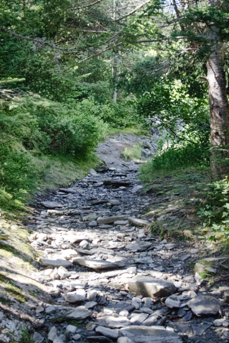 La Manche Village Path, East Coast Trail