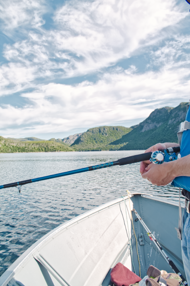 Cod fishing in Newfoundland and Labrador