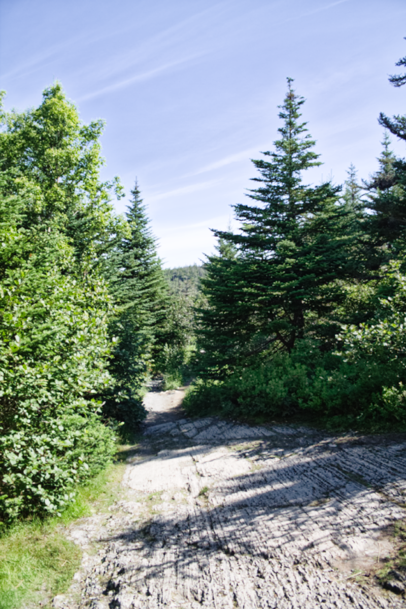 La Manche Village Path, East Coast Trail
