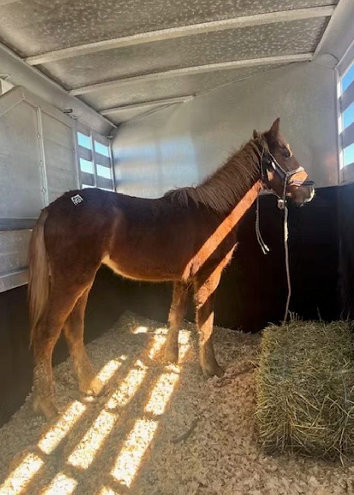 Screenshot 2025-09-05 at 7.14.16 PM