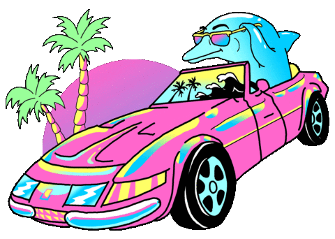 Geo Star Music Retro 80s Dolphin in Sports Car