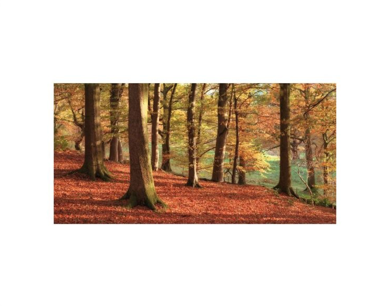 David Clapp - A Golden hour