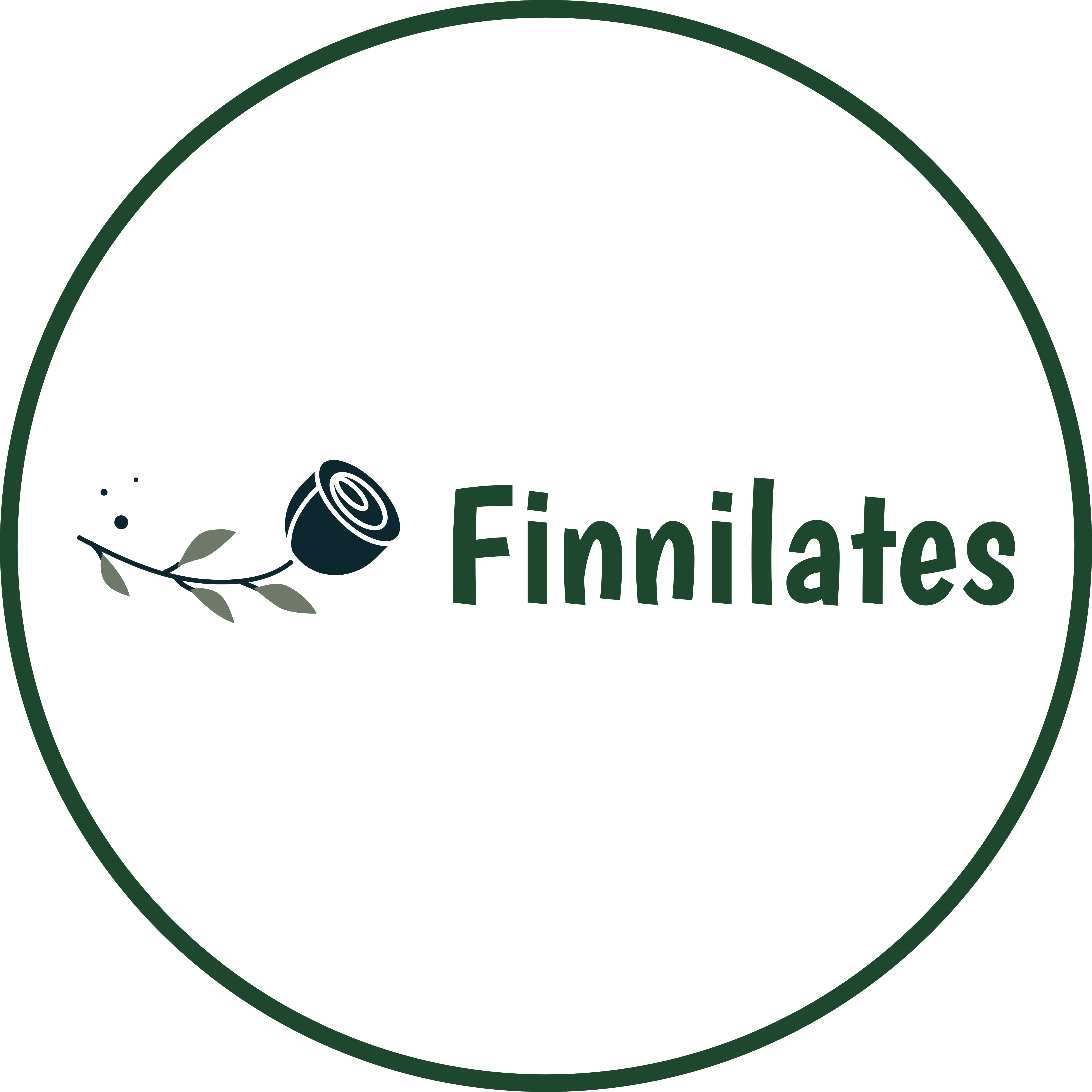Inside Finnilates