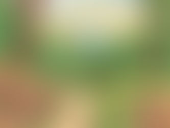 Why Don't National Park Workers Ever Get Lost?