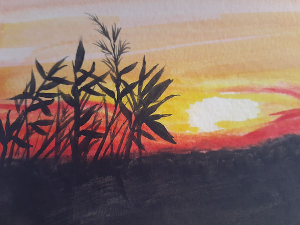 sunset field_edited.jpg