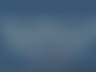 Hudson Stems: The Floral Preservation Studio Brides Are Raving About