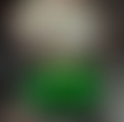 weekly digest boletin financiero