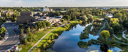 cityhighlights-trees-banner.-full.jpg