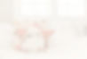 ThePeacefulSleepCompany-031_edited_edited.jpg