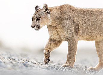 _DSA3487-Edit copy.jpg