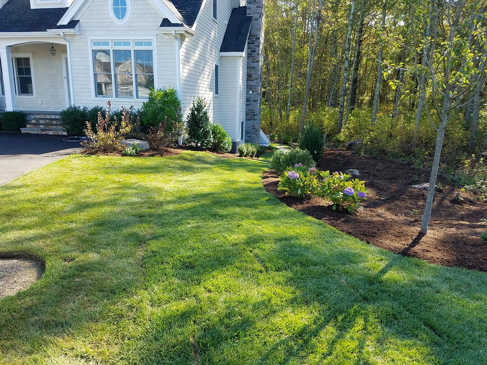 White house with gray roof, front porch, and large windows. Neatly landscaped yard with green grass, bushes, and blooming flowers. Forest backdrop.