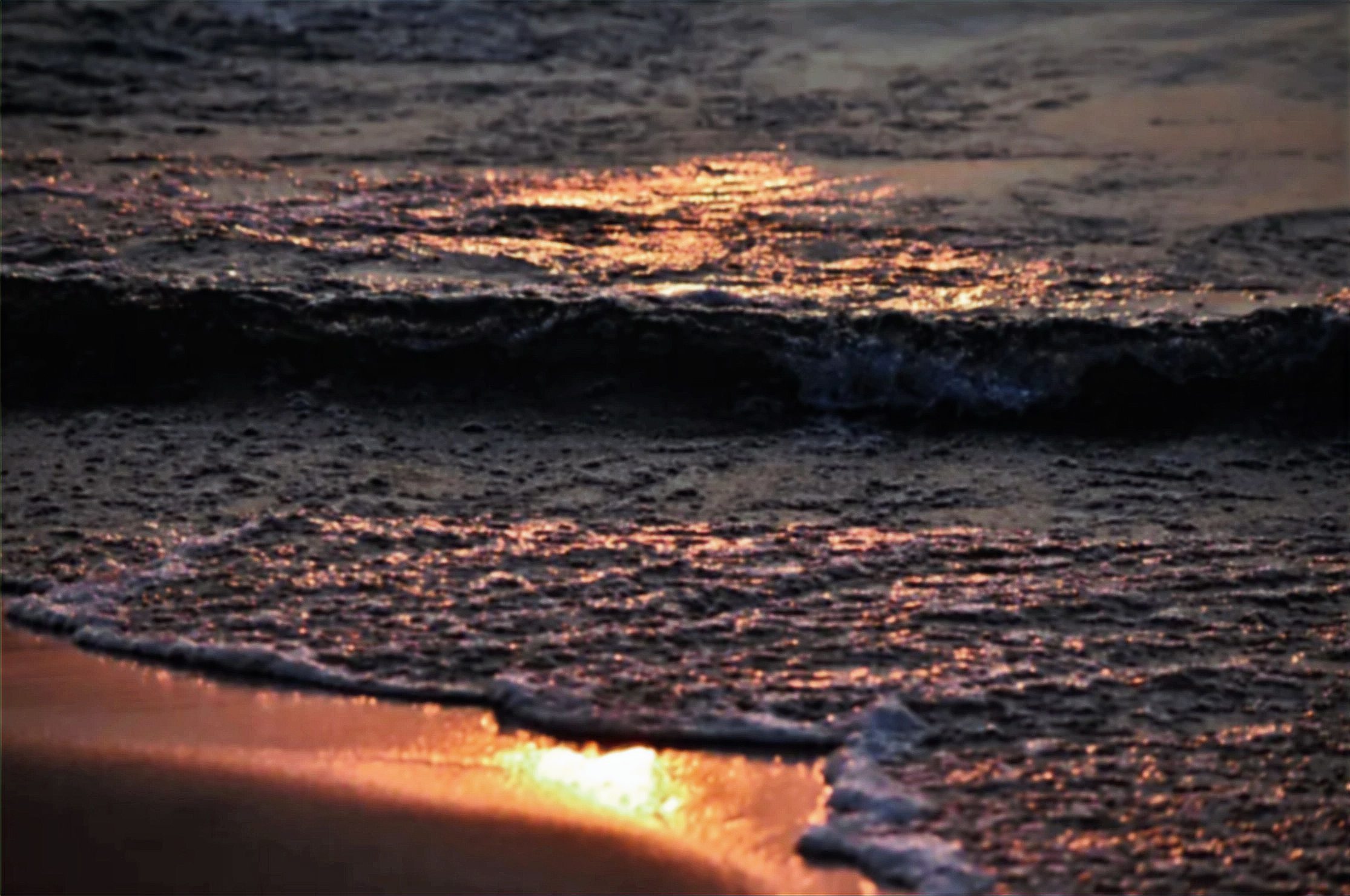 Golden Tides Rising