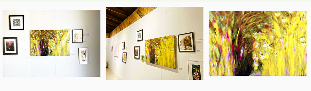 Floral Corridors floral fractals exhibition_edited.jpg