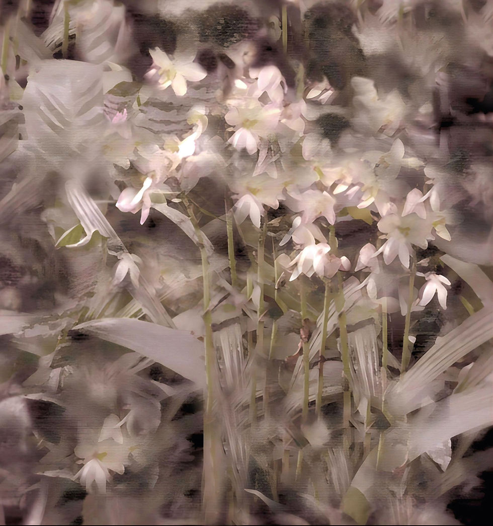 Requiem of The Flowers