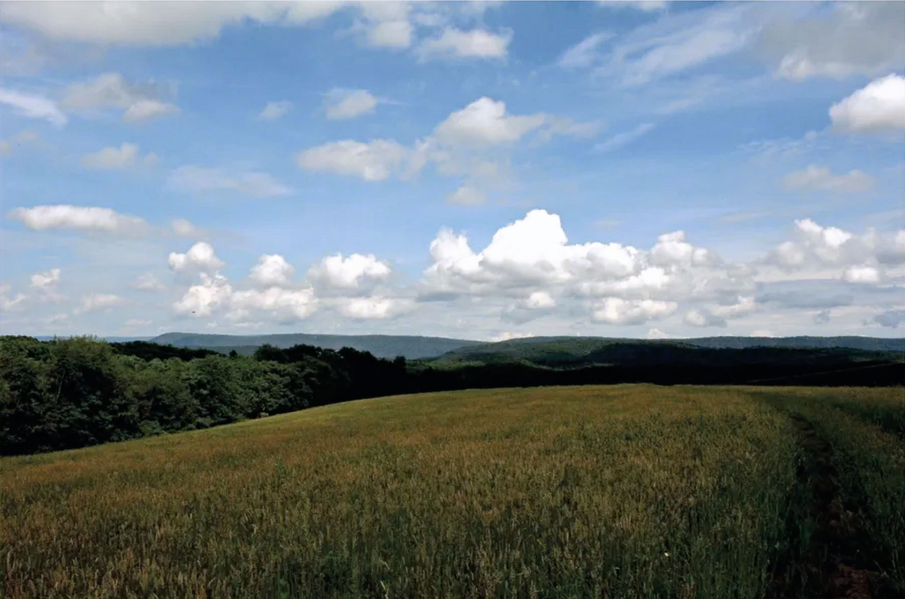 Into the fields, Over the hills far Away, Embraced by Blue skies