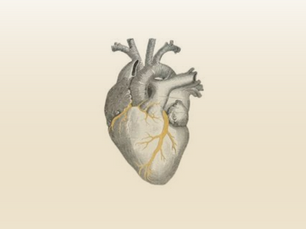 Este artículo reflexiona sobre el kintsugi emocional, una práctica simbólica que invita a transformar heridas personales en belleza y fortaleza.