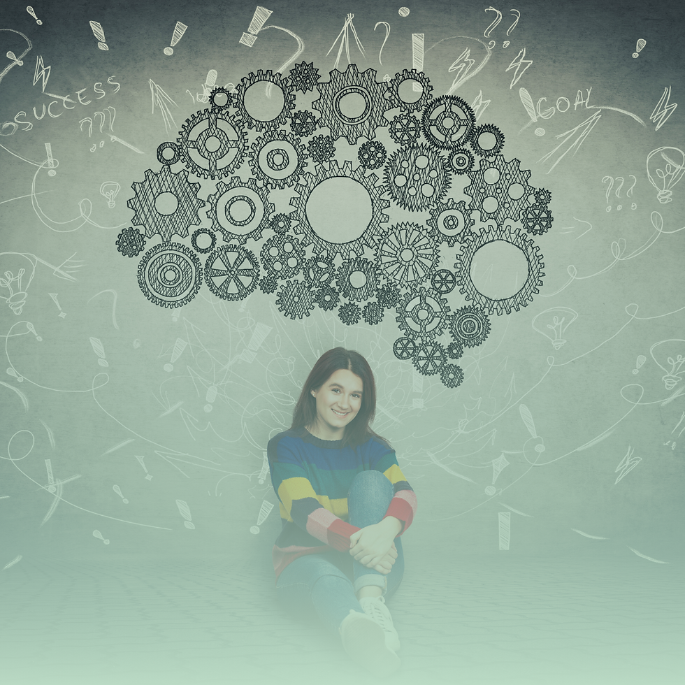 Imagen que representa las funciones del reptiliano, límbico y neocórtex.