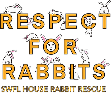 RespectforRabbitsDesign.png