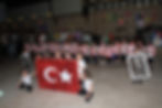 Küçük İmzalar