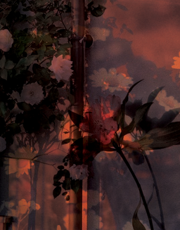 Hazy Flora.png