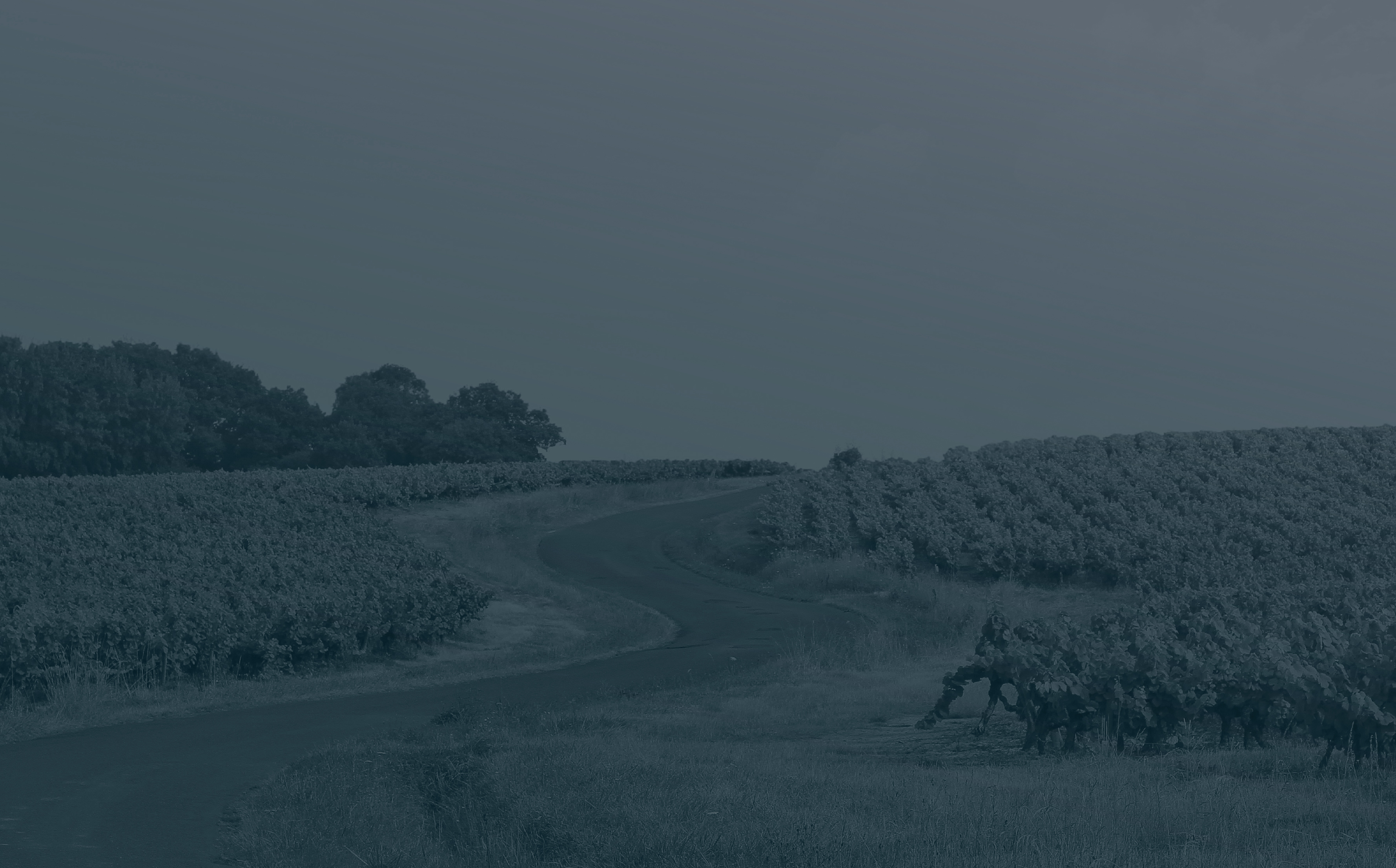 Pourquoi la mousse revient-elle sur ma toiture dans le Vignoble Nantais ? Récidive et traitement préventif