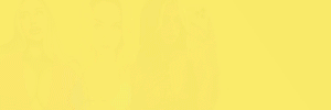 300x100.gif