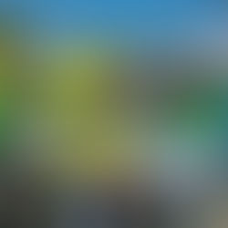 PLURIELLES Young Women On The Move