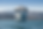 MSC18014464.png