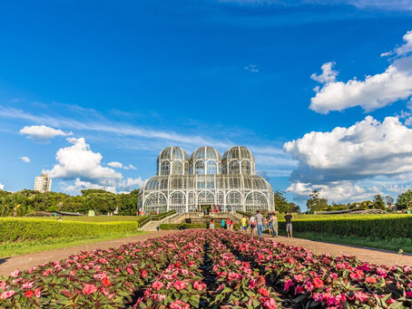 MedSênior no Paraná: Cuidado, Inovação e Bem-Estar na Terra das Araucárias